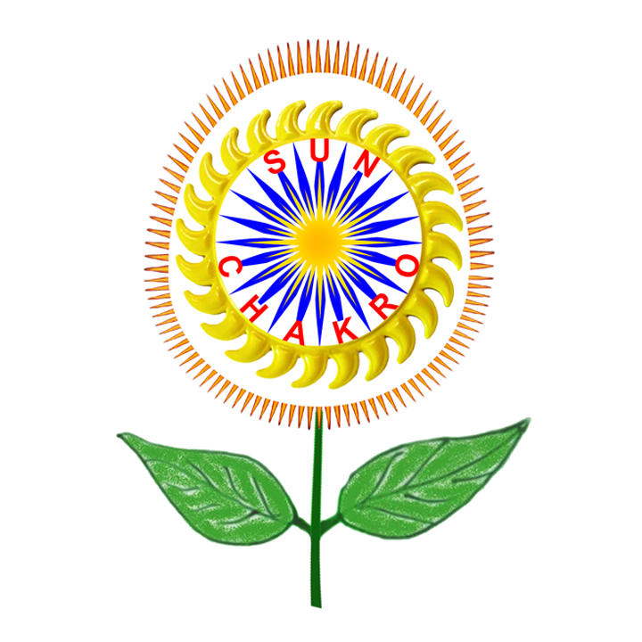 logo2